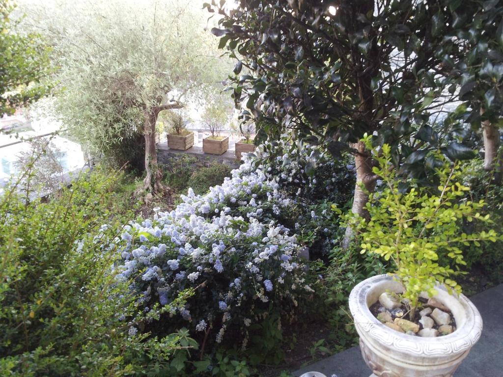 מלון לוארקה Casona El Gurugu מראה חיצוני תמונה